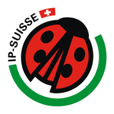 ip suisse